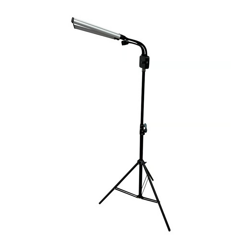 Dual Arm Light