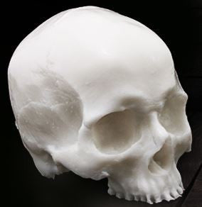 A Pound of Flesh Skull for Tattooing