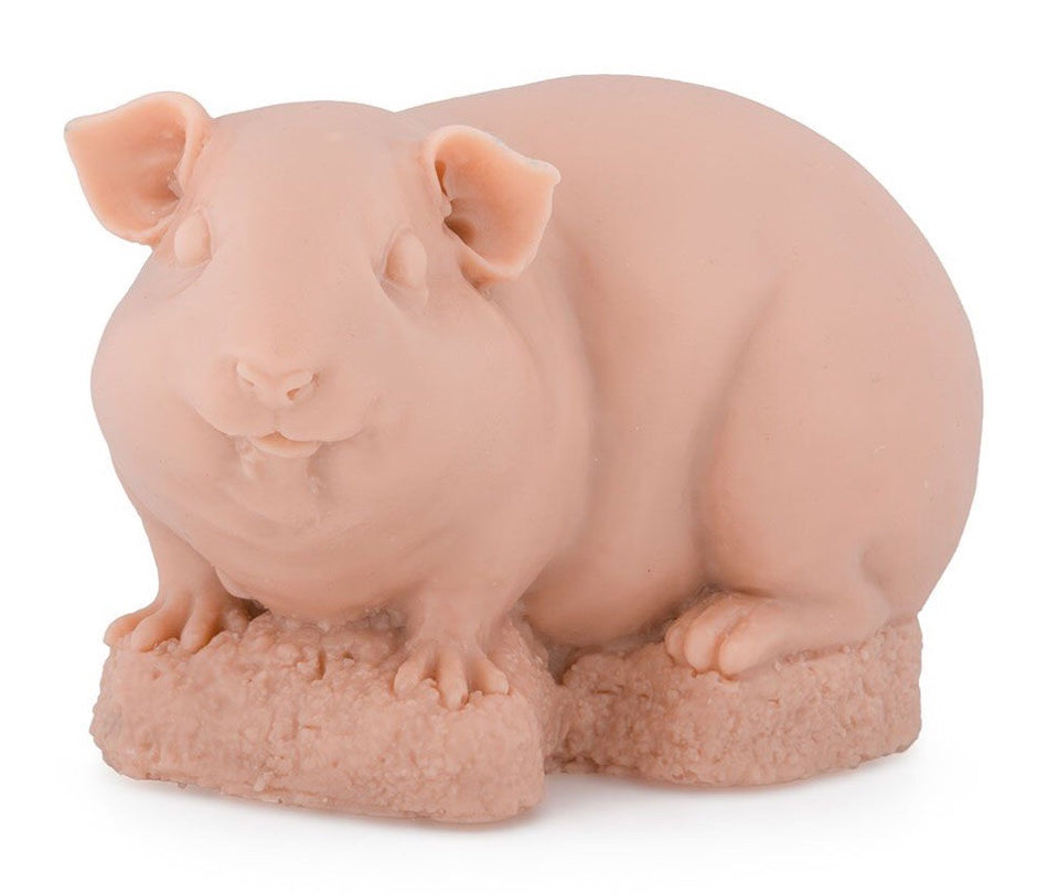 A Pound Of Flesh Guinea Pig